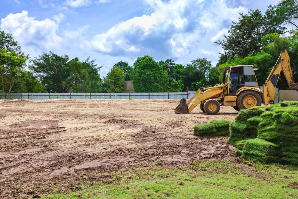 Land_Clearing_02-1